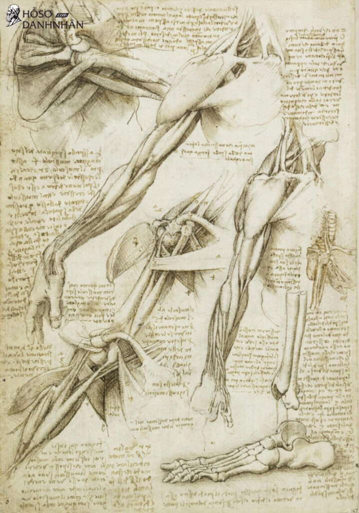 Leonardo da Vinci và 10 sự thật thú vị có thể bạn chưa biết