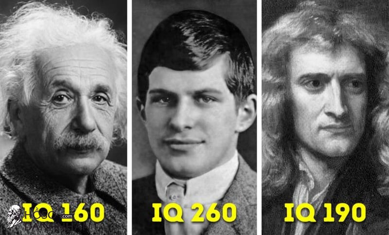 14 người có chỉ số IQ cao hơn cả thiên tài Albert Einstein: Họ đang làm gì kiếm sống?