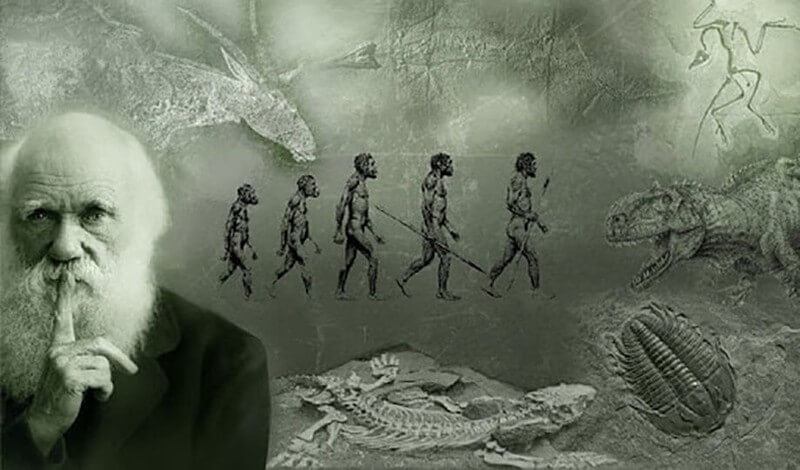 10 câu nói của "cha đẻ thuyết tiến hóa" Charles Darwin vẫn còn nguyên giá trị đến ngày nay