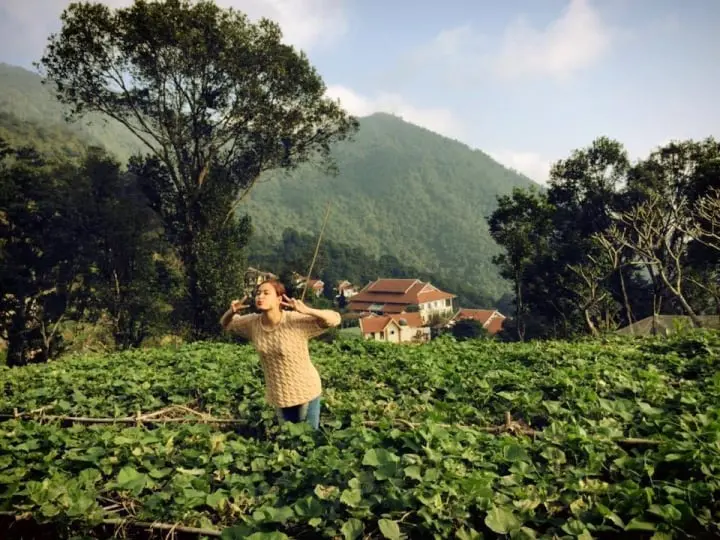 "Cô Mị" Ca sĩ Hoàng Thùy Linh giàu thế nào ở tuổi 35? - Ở penhouse 400 m2, xe sang, đồ hiệu ngập tràn, cát-sê trăm triệu/1 show